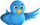 Suivez-nous sur Twitter ! Suivez-nous sur Twitter !
